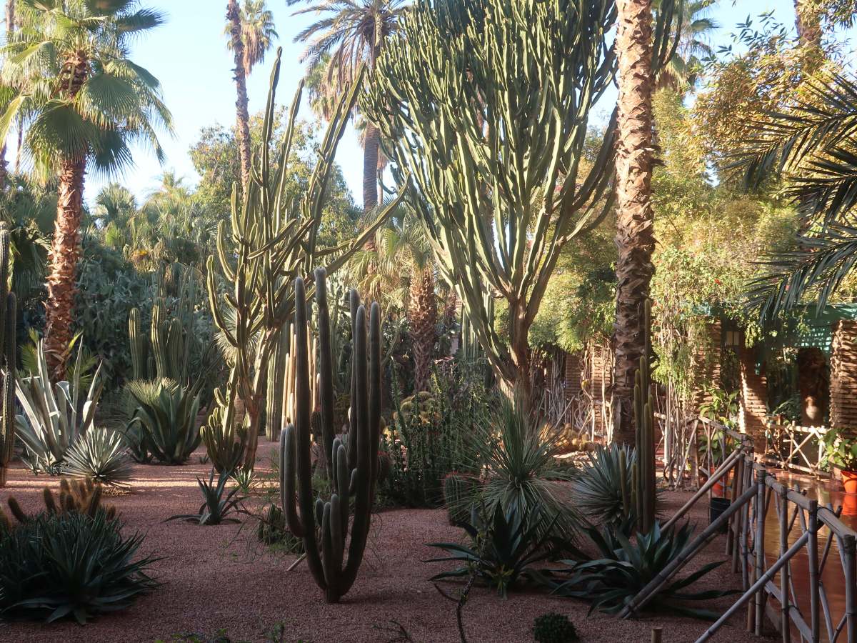 Marraquexe – Jardim&nbsp;Majorelle